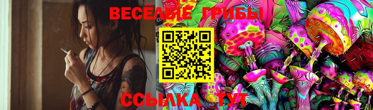 Псилоцибиновые грибы мицелий Качканар